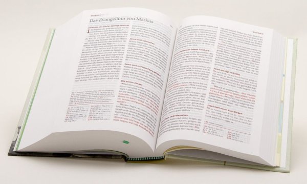 Neues Leben - Die Bibel für Teens (Bibel - Gebunden)
